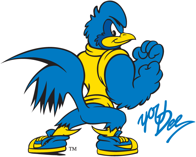 Delaware Blue Hens 1993-Pres Mascot Logo iron on transfers for clothing